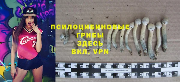 прущая мука Бронницы