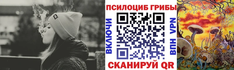 купить наркоту  Минеральные Воды  Галлюциногенные грибы MAGIC MUSHROOMS 